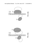 COLLECTION OF CLINICAL DATA FOR GRAPHICAL REPRESENTATION AND ANALYSIS diagram and image