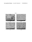 NON-QUENCHED AND TEMPERED STEEL HAVING ULTRAFINE GRAINED PEARLITE     STRUCTURE AND METHOD OF MANUFACTURING THE SAME diagram and image