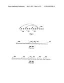 INTERPOLATION OF VIDEO COMPRESSION FRAMES diagram and image