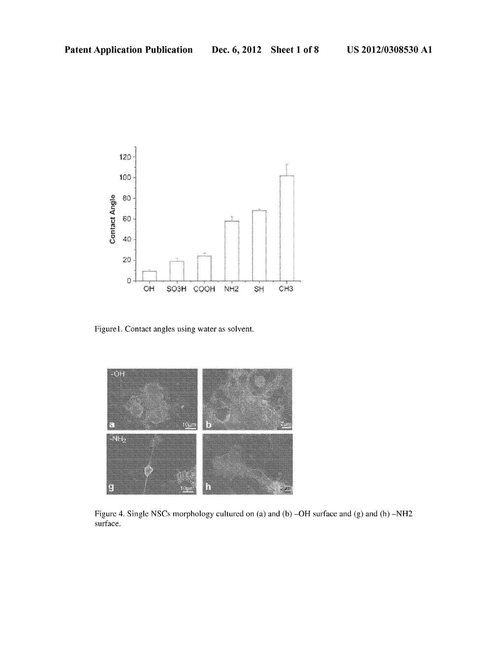 Materials Composition and Methods to Control Neural Progenitor and Stem     Cell Attachment, Proliferation and Guide Cell Differentiation - diagram, schematic, and image 02