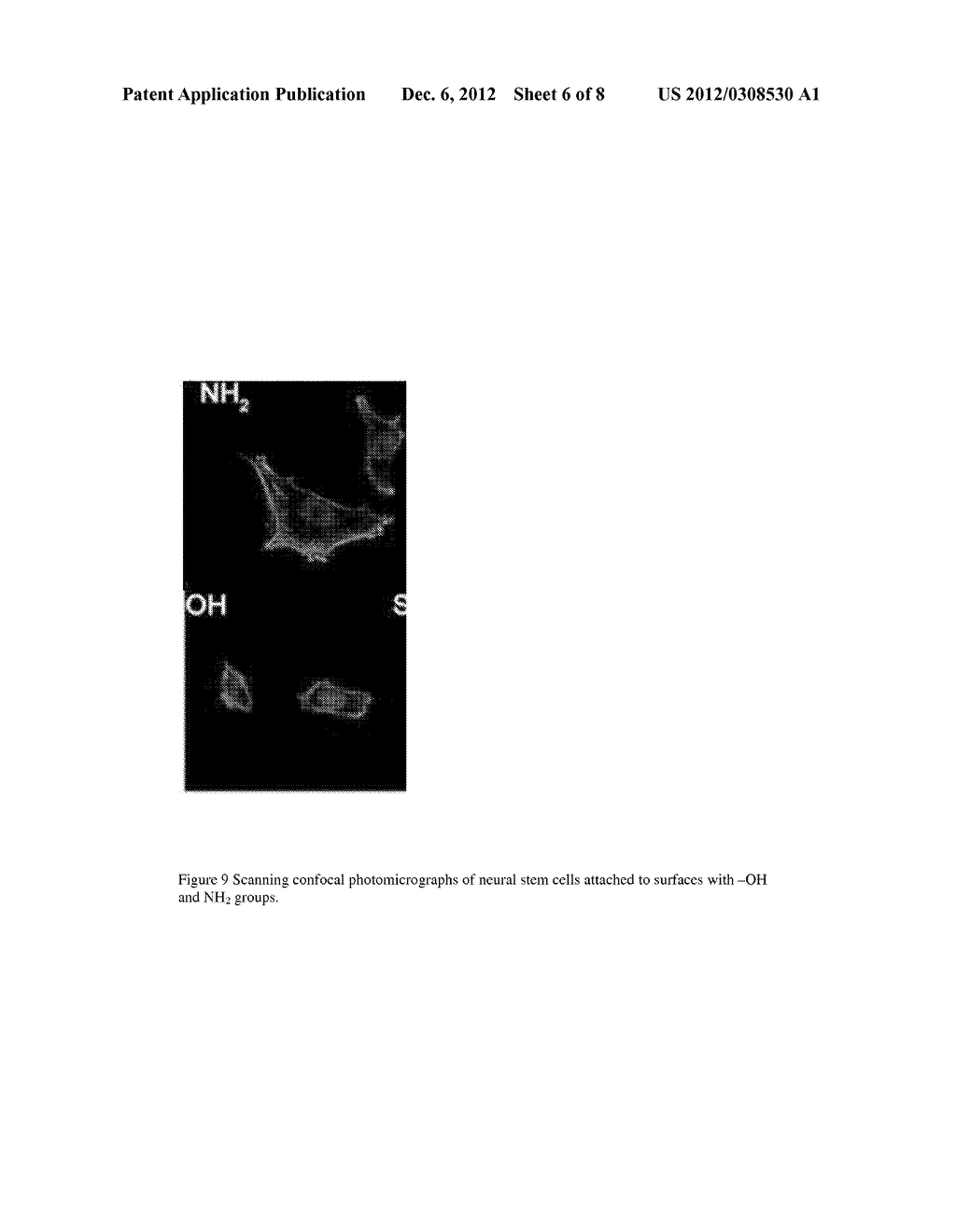Materials Composition and Methods to Control Neural Progenitor and Stem     Cell Attachment, Proliferation and Guide Cell Differentiation - diagram, schematic, and image 07