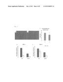 ADIPOCYTE SHEET, THREE-DIMENSIONAL STRUCTURE THEREOF, AND METHOD FOR     PRODUCING THE SAME diagram and image