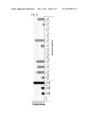 HUMAN MONOCLONAL ANTIBODY THAT SPECIFICALLY BINDS TO VCAM-1 AND A     COMPOSITION FOR TREATING AN INFLAMMATORY DISEASE OR A CANCER COMPRISING     THE SAME diagram and image