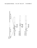 Recombinant RSV Virus Expression Systems And Vaccines diagram and image