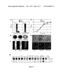 USE OF BACTERIAL POLYSACCHARIDES FOR BIOFILM INHIBITION diagram and image