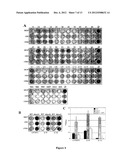 USE OF BACTERIAL POLYSACCHARIDES FOR BIOFILM INHIBITION diagram and image