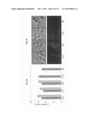 USE OF BACTERIAL POLYSACCHARIDES FOR BIOFILM INHIBITION diagram and image