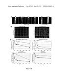 USE OF BACTERIAL POLYSACCHARIDES FOR BIOFILM INHIBITION diagram and image