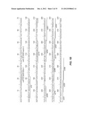 INHIBITING HEPATITIS C VIRAL REPLICATION WITH SIRNA COMBINATIONS diagram and image