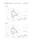 Cinnamamides as savory flavorings diagram and image