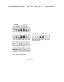 DUAL ACTIVITY KINASE DOMAINS AND USES THEREOF diagram and image