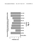 ANTIBODIES THAT BIND HUMAN DENDRITIC AND EPITHELIAL CELL 205 (DEC-205) diagram and image