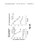 ANTIBODIES THAT BIND HUMAN DENDRITIC AND EPITHELIAL CELL 205 (DEC-205) diagram and image