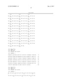 ANTIBODIES THAT BIND HUMAN DENDRITIC AND EPITHELIAL CELL 205 (DEC-205) diagram and image