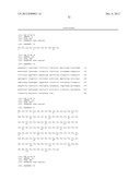 ANTIBODIES THAT BIND HUMAN DENDRITIC AND EPITHELIAL CELL 205 (DEC-205) diagram and image