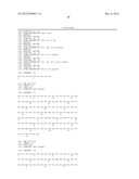 ANTIBODIES THAT BIND HUMAN DENDRITIC AND EPITHELIAL CELL 205 (DEC-205) diagram and image