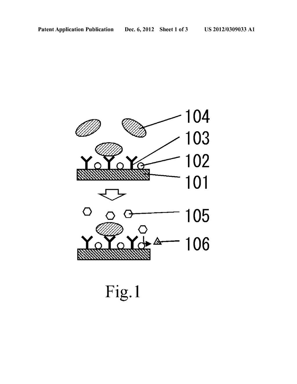 METHOD FOR DETECTING AN ANTIGEN - diagram, schematic, and image 02
