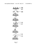 METHOD FOR DETECTING AN ANTIGEN diagram and image