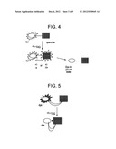 Composite Probes and Use Thereof in Super Resolution Methods diagram and image