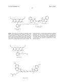 Composite Probes and Use Thereof in Super Resolution Methods diagram and image