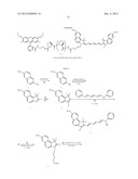 Composite Probes and Use Thereof in Super Resolution Methods diagram and image