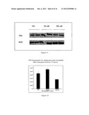 METHODS AND USE OF INDUCING APOPTOSIS IN CANCER CELLS diagram and image