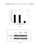 METHODS AND USE OF INDUCING APOPTOSIS IN CANCER CELLS diagram and image