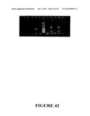 Angiogenin Expression in Plants diagram and image