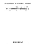 Angiogenin Expression in Plants diagram and image