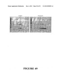 Angiogenin Expression in Plants diagram and image