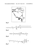 MICELLE COMPOSITION OF POLYMER AND PASSENGER DRUG diagram and image