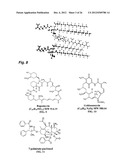 MICELLE COMPOSITION OF POLYMER AND PASSENGER DRUG diagram and image