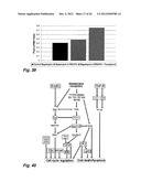 MICELLE COMPOSITION OF POLYMER AND PASSENGER DRUG diagram and image