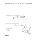 MICELLE COMPOSITION OF POLYMER AND PASSENGER DRUG diagram and image