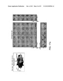 Direct Hierarchical Assembly of Nanoparticles diagram and image