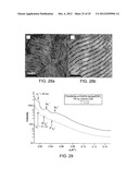 Direct Hierarchical Assembly of Nanoparticles diagram and image