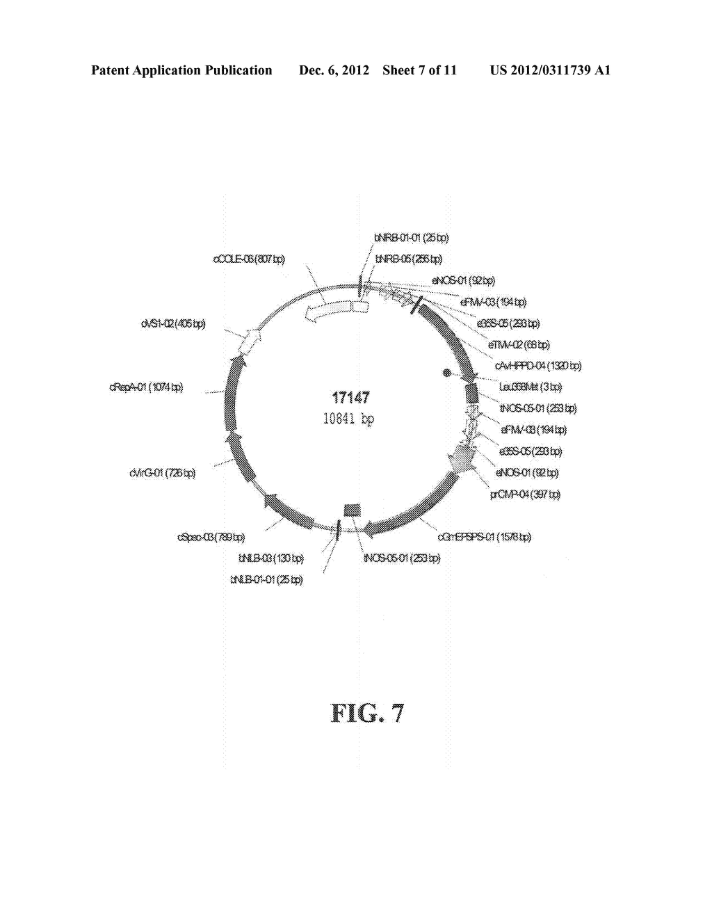 MUTANT HYDROXYPHENYLPYRUVATE DIOXYGENASE POLYPEPTIDES AND METHODS OF USE - diagram, schematic, and image 08