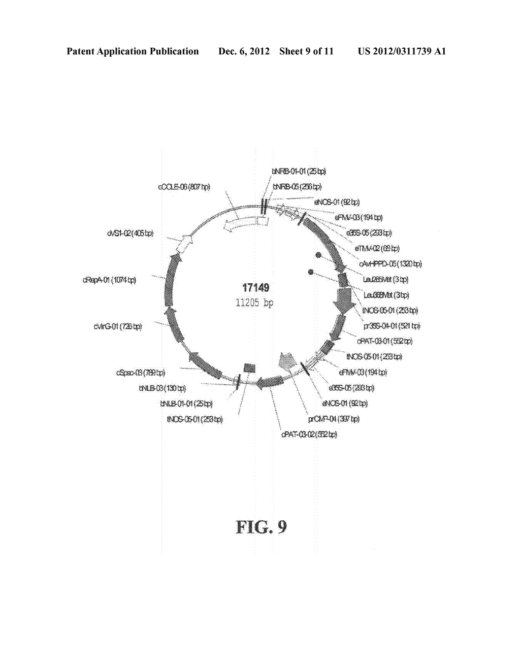 MUTANT HYDROXYPHENYLPYRUVATE DIOXYGENASE POLYPEPTIDES AND METHODS OF USE - diagram, schematic, and image 10