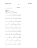 MUTANT HYDROXYPHENYLPYRUVATE DIOXYGENASE POLYPEPTIDES AND METHODS OF USE diagram and image