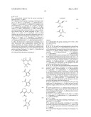 MUTANT HYDROXYPHENYLPYRUVATE DIOXYGENASE POLYPEPTIDES AND METHODS OF USE diagram and image