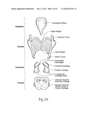 IMPLANTABLE DEVICES, SYSTEMS, AND METHODS FOR MAINTAINING DESIRED     ORIENTATIONS IN TARGETED TISSUE REGIONS diagram and image