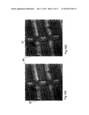  ELECTROKINETIC FLUIDIC SYSTEM diagram and image