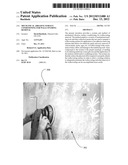 Mechanical abrasive surface conditioning for wallcovering removal diagram and image