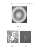 POLARISCOPE STRESS MEASUREMENT TOOL AND METHOD OF USE diagram and image