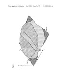 Apparatus for imaging a sample surface diagram and image