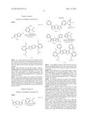 ELECTROCHROMIC DEVICE diagram and image