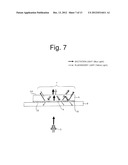 LIGHT SOURCE DEVICE AND LIGHTING DEVICE diagram and image