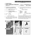 Compositions and Methods for Treating and Diagnosing Cancer diagram and image