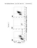 Compositions and Methods for Treating and Diagnosing Cancer diagram and image
