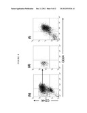 Compositions and Methods for Treating and Diagnosing Cancer diagram and image